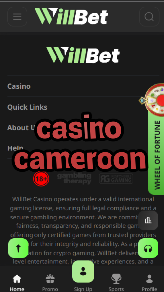 Casino Cameroon - African Casino Guide-casinoorder.vip