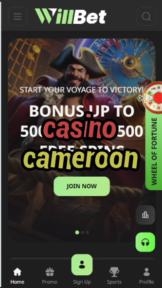 Casino Cameroon - African Casino Guide-casinoorder.vip